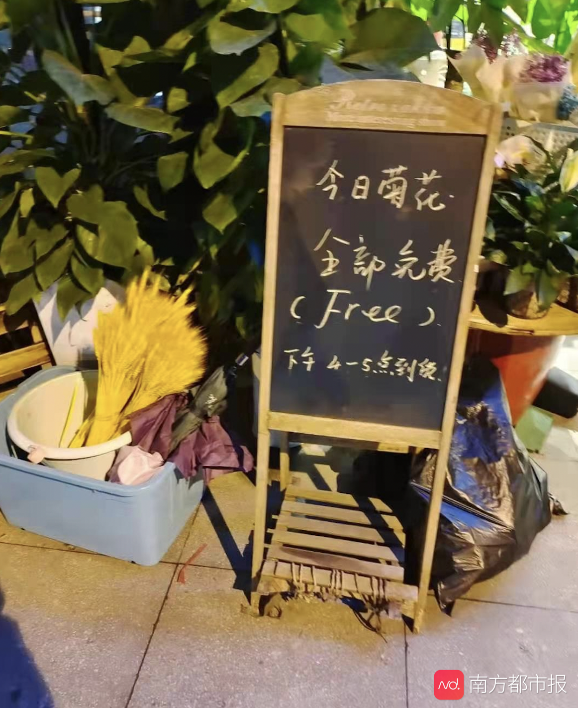 长沙全城送别袁隆平:花店免费派菊花,出租车司机义务接送