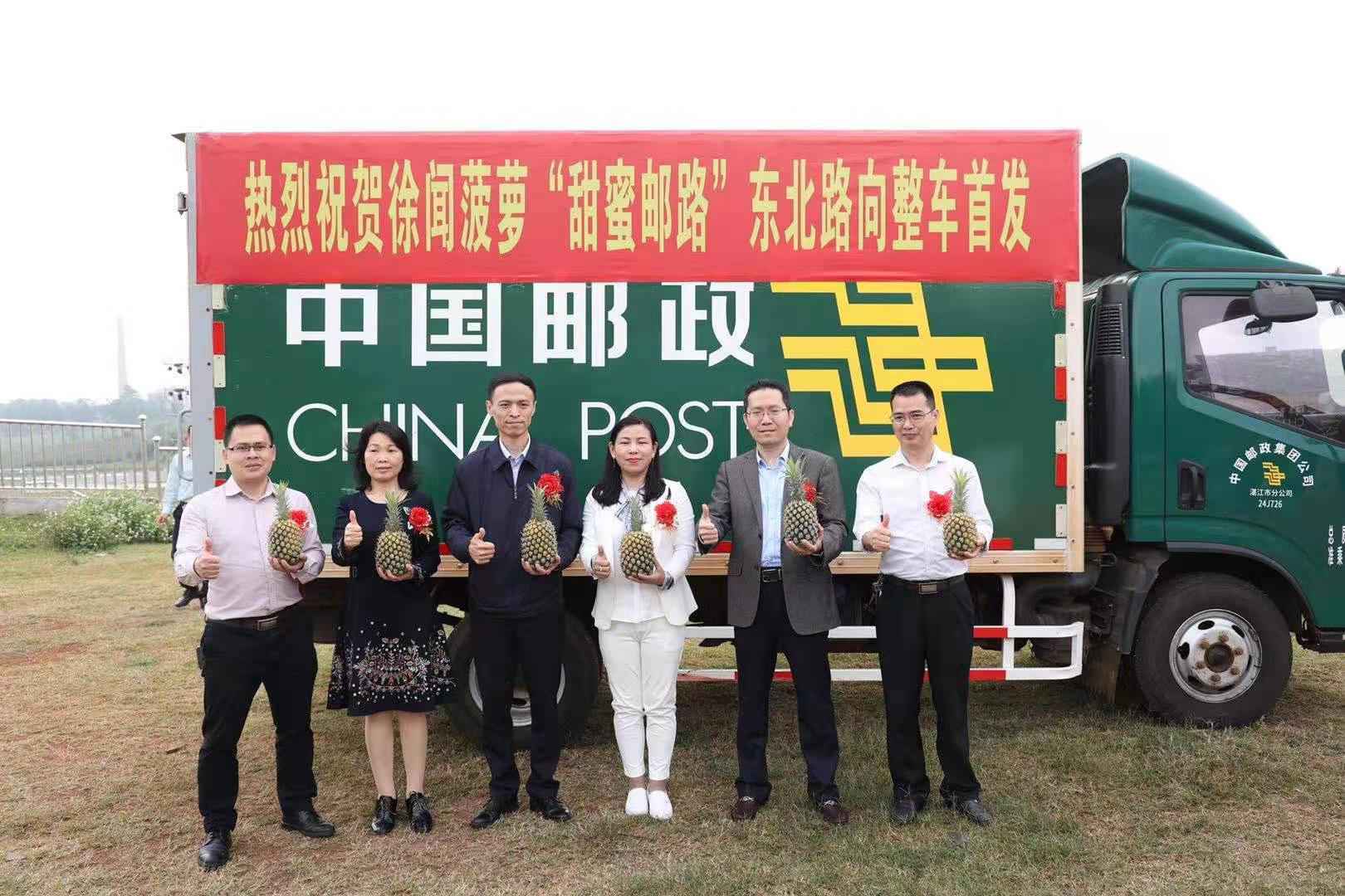 广东喊全国人民吃菠萝!热搜背后,徐闻种植户立下“军令状”
